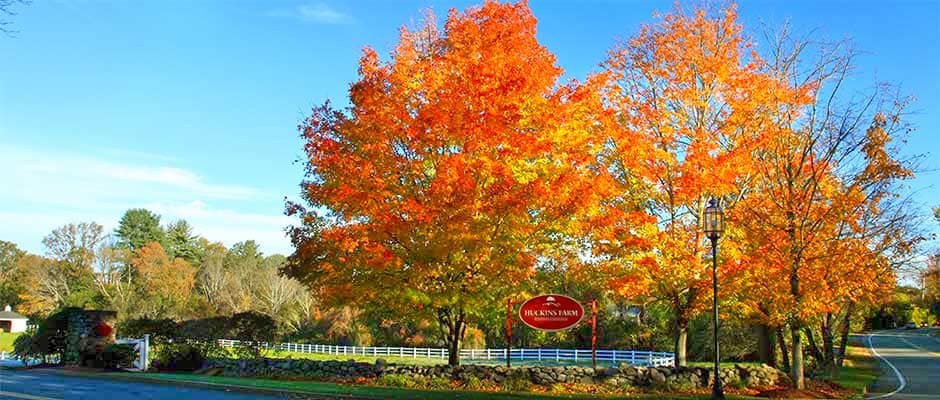 North Road entry at Huckins Farm, Bedford, MA